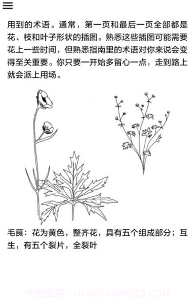 野外植物识别手册截图4 野外植物识别手册截图4