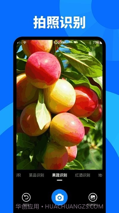 扫描识图大师截图4