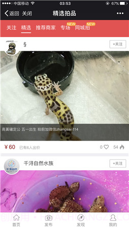 拍宠截图2 拍宠截图2