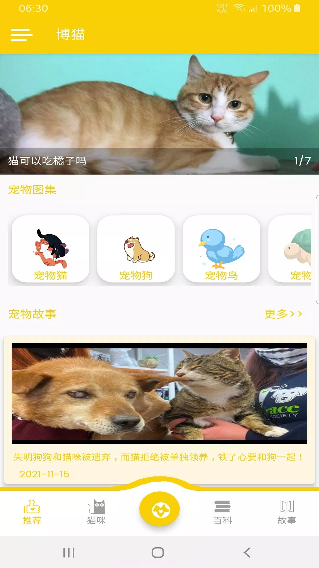 博猫截图4 博猫截图4