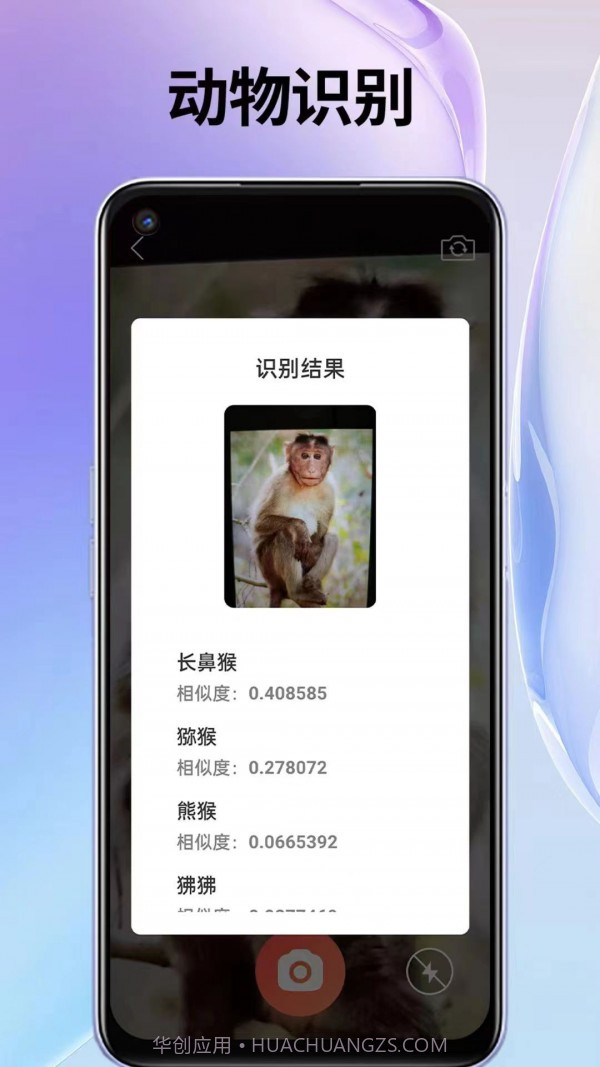 叮叮袋截图4 叮叮袋截图4
