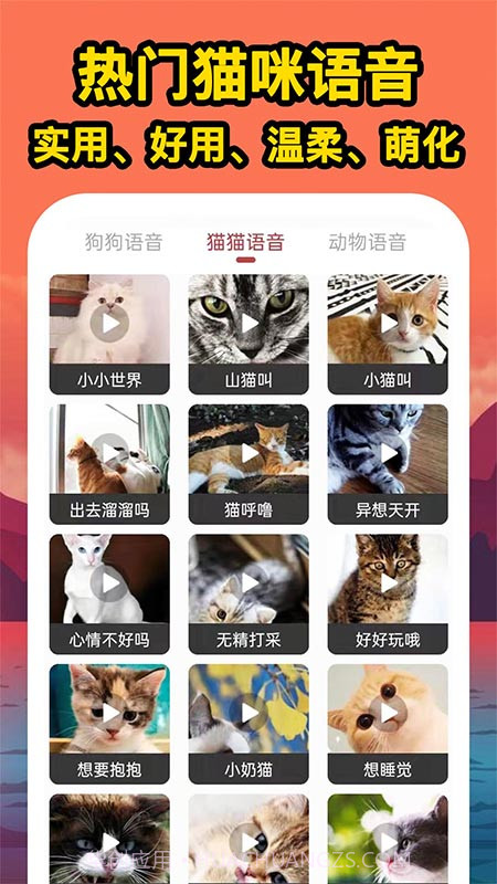 人人猫狗翻译交流器截图3 人人猫狗翻译交流器截图3