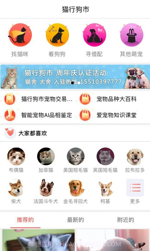 猫行狗市截图2 猫行狗市截图2