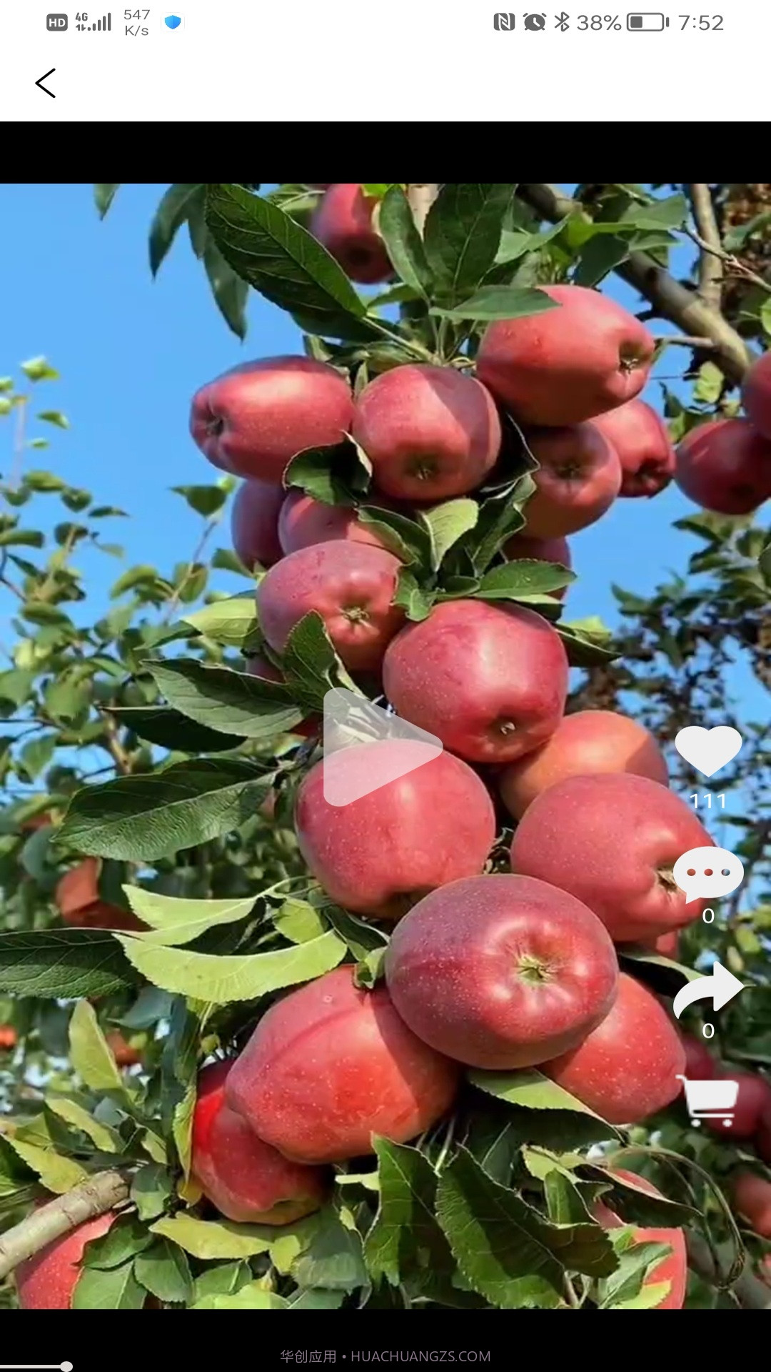 善农优选截图4 善农优选截图4