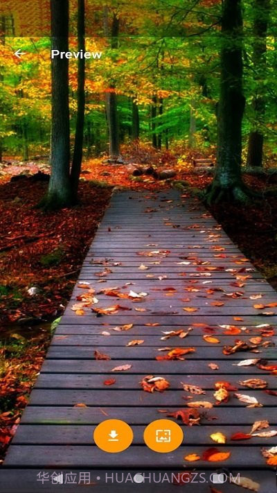 全球主题和壁纸截图4