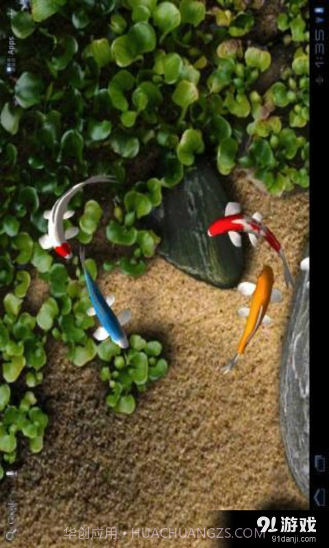 锦鲤3D动态壁纸截图2 锦鲤3D动态壁纸截图2