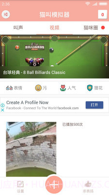 猫叫模拟器截图2 猫叫模拟器截图2