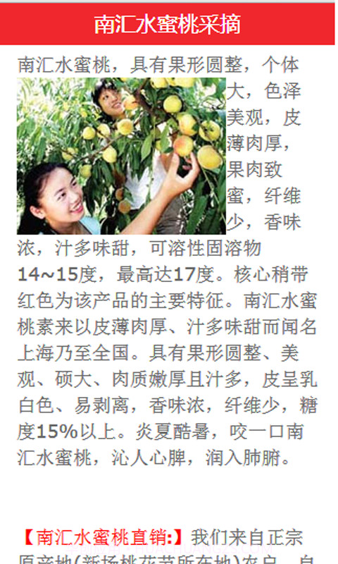 南汇水蜜桃手机网截图3 南汇水蜜桃手机网截图3