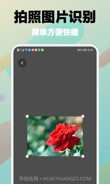 树林记忆截图1 树林记忆截图1
