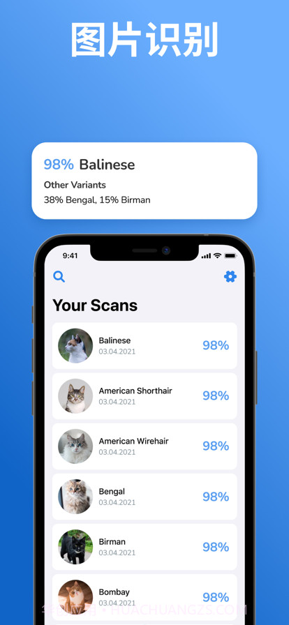 猫品种标识符:猫扫描仪截图2