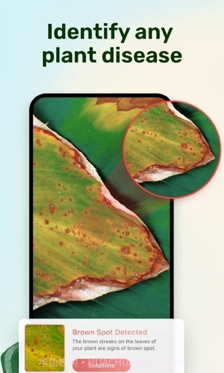 植物养护指南截图4