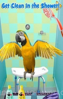 新生宠物兽医截图1 新生宠物兽医截图1