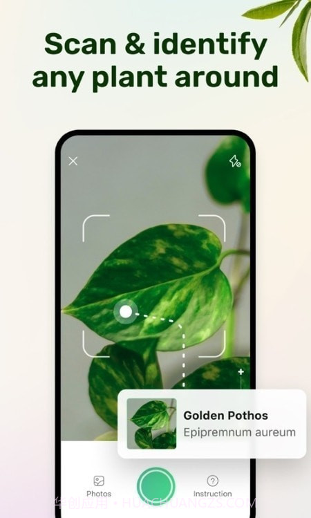植物养护指南截图1
