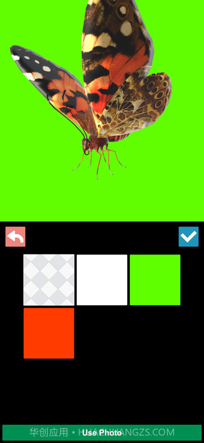 昆虫三维文件截图5