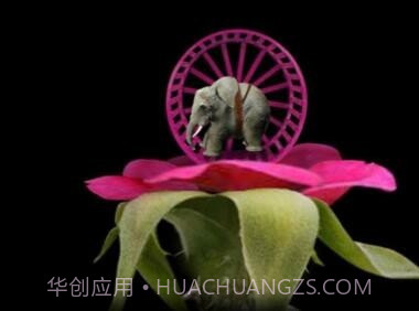 Mitoza截图4 Mitoza截图4