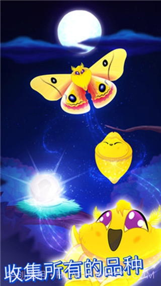 彩翼之星夜截图2 彩翼之星夜截图2