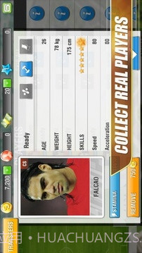 真实足球2013 英文免验证版截图1