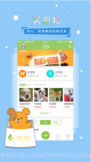 握爪宠物截图2 握爪宠物截图2