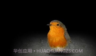 Mitoza截图2 Mitoza截图2