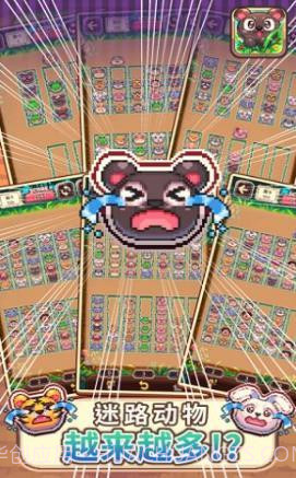 动物大风吹截图3