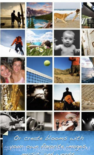 Bloom截图2 Bloom截图2