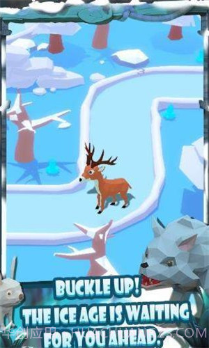 动物追逐赛截图3