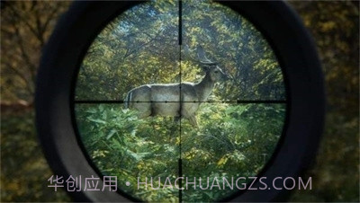 猎人:荒野的召唤正版截图2 猎人:荒野的召唤正版截图2