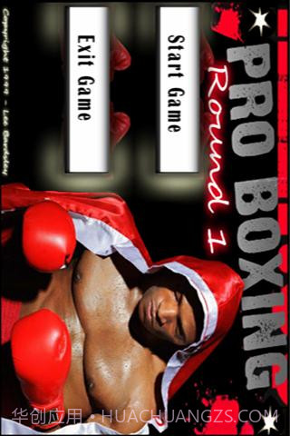 3D拳击大赛截图1 3D拳击大赛截图1