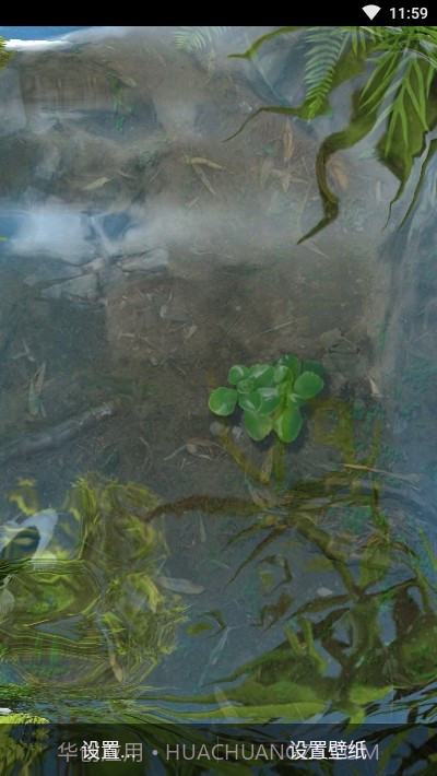 鱼池动态壁纸截图1 鱼池动态壁纸截图1