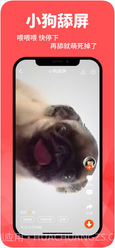 壁纸菌截图1 壁纸菌截图1