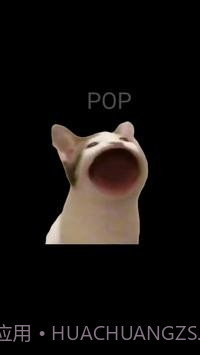 PopCat截图3