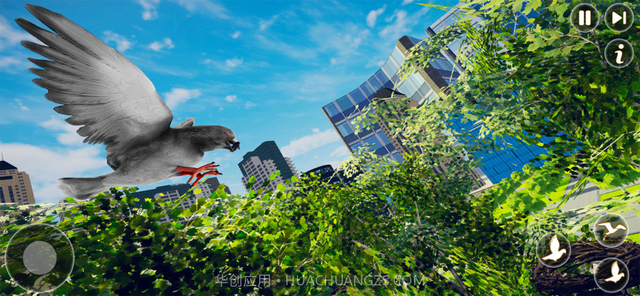 鸽子鸟飞行模拟器截图5