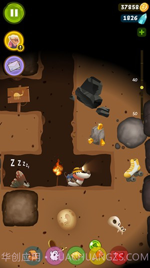 宝藏狗截图5 宝藏狗截图5