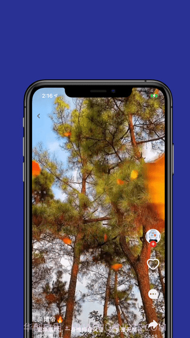 呱呱短视频截图2