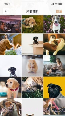 萌邦宠物截图4 萌邦宠物截图4