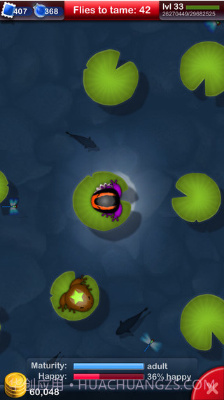 口袋青蛙截图1 口袋青蛙截图1