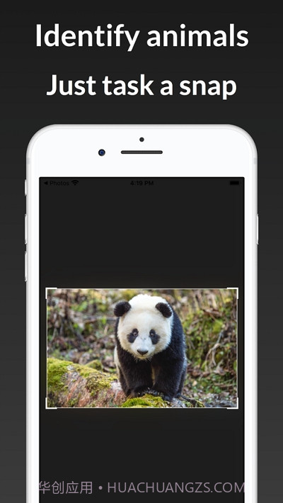 ianimal动物识别截图1