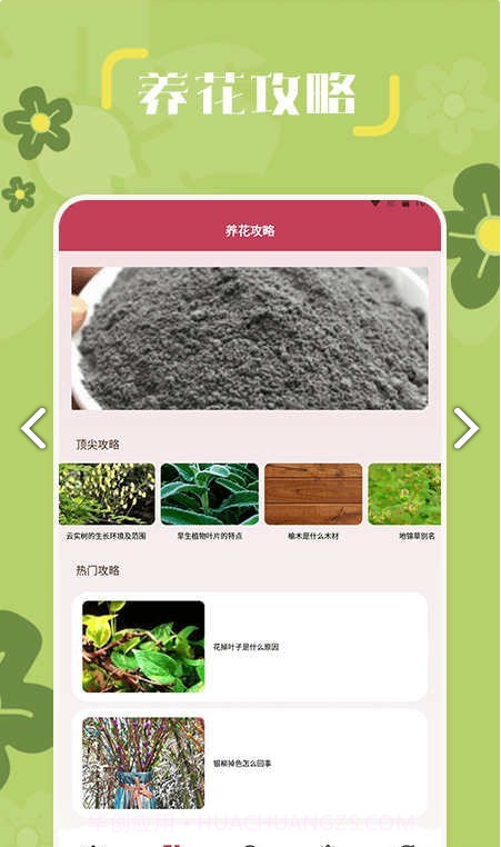 小兰君养花大师截图2