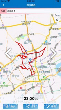 Pacer(马拉松pacer)V4.06 安卓截图2 Pacer(马拉松pacer)V4.06 安卓截图2