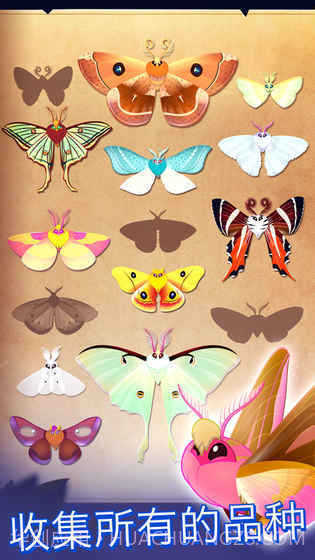 彩翼之星夜starlight截图1 彩翼之星夜starlight截图1