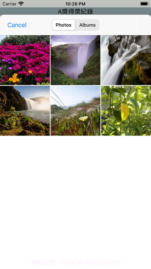 旋转玛丽截图4 旋转玛丽截图4