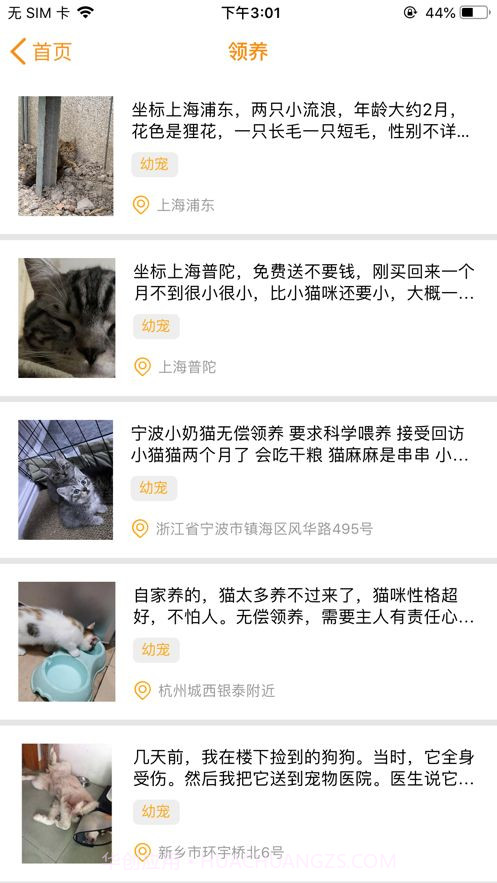 宠爱社ios截图1 宠爱社ios截图1