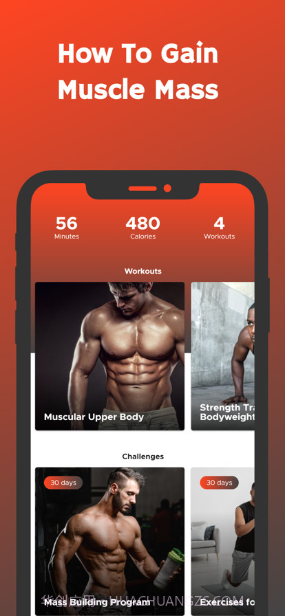 如何获得肌肉质量截图1