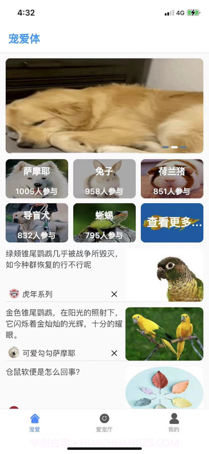 宠爱体截图1