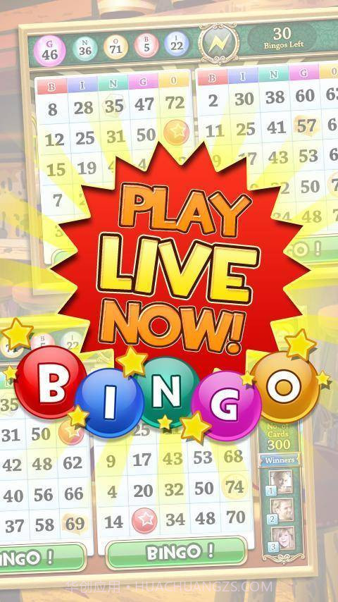 疯狂Bingo截图4 疯狂Bingo截图4