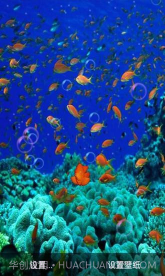 3D海底世界动态壁纸截图3 3D海底世界动态壁纸截图3