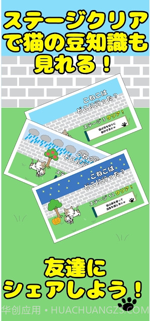 寻找路边消失的小猫截图3 寻找路边消失的小猫截图3