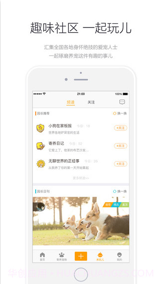 小狗在家-宠物寄养截图4