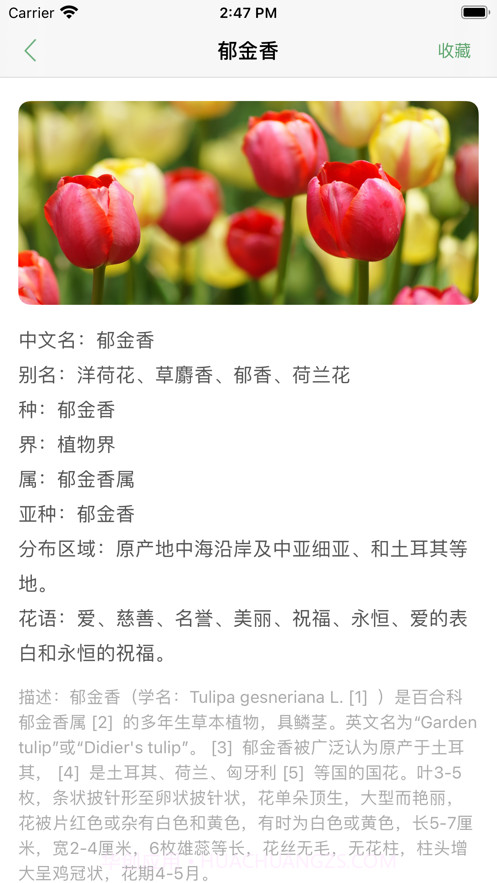 口袋绿植截图4 口袋绿植截图4