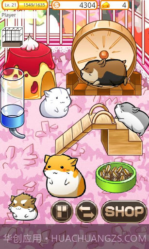 仓鼠的日常截图3